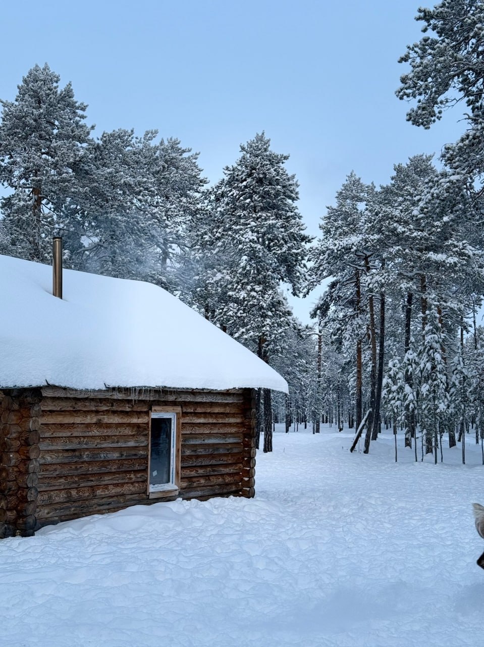 Туристы со всей России посещают стойбище Сопочиных в Югре Туристы со всей России посещают стойбище Сопочиных в Югре