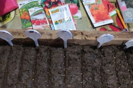 ������, ������� ����� �������� ��� ������ ������� �� �������