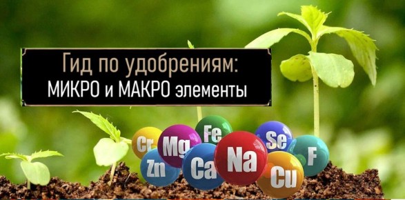 ��� ������� ��������� ��������� ��� ������ ������������ ����