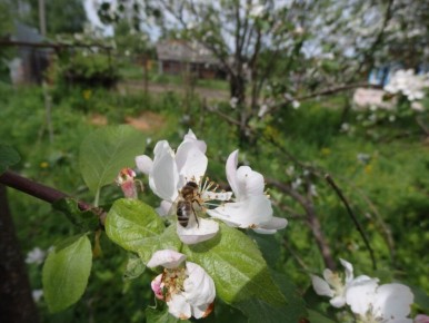 ������ ����� �������� � ��� �� ������� � ��� ���