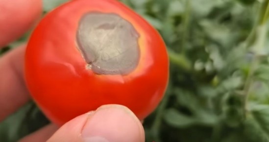 �������� � ��������� ������ ������� � ������� �������� �����