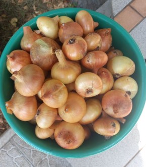 ��� ������� ���� �� ���� ����� ����������� ��� ���: ������� ��������� ������