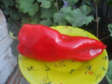 ����� �'��������: ���������� ������ ��� ������ �������� ���