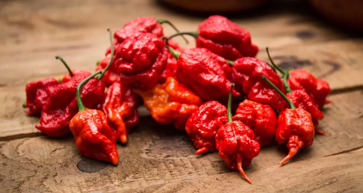 Pepper X: самый огненный перец, покоривший гастрономический мир!