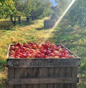 ��� ��������� �������� ����� �����: ������� � ������