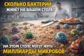 Как много бактерий скрывается на вашем кухонном столе?
