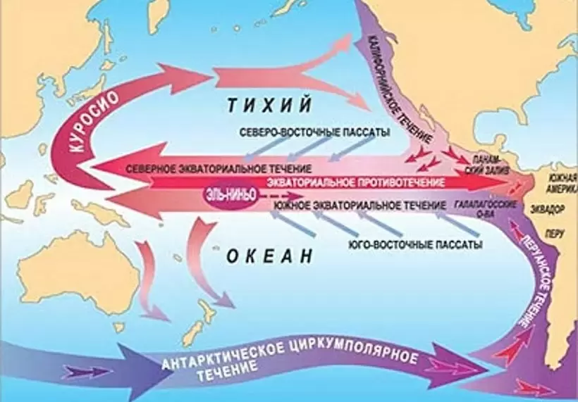 Какие вызовы ставит изменение климата перед садоводами?