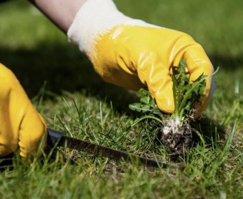 ��� �������� ���������� �� ������ ��� �����