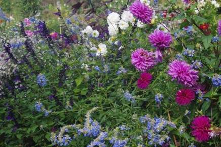 ������ ������������ ������ ������������ ����� ���������?