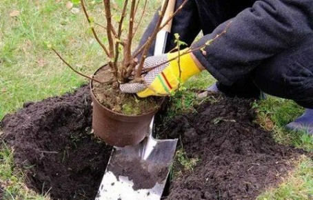 ��� ���������� ������������� �������� ����� ���������� �������