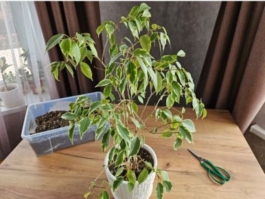 5 ��������, ��� ������ ����� ���������� �� ������ �������