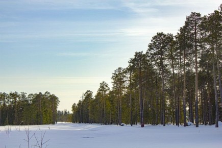 ���� � ������� -3��. ����� ������-�������� 7 �/�