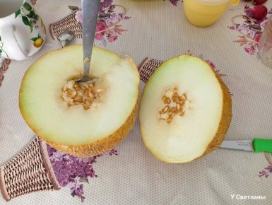 Когда дыня становится источником страха: неожиданный день