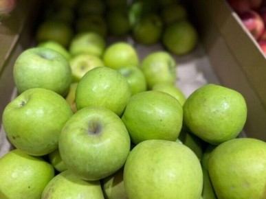 Фестиваль «Яблочный джем»: осень, пюре и кулинарные традиции Нальчика