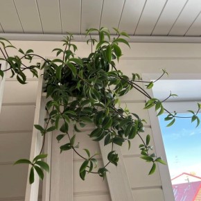 ��������� ����������: ��������� ������� ��� ������� ��������� ��������� ��������