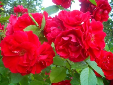 ��� ������� ���������� ���� �� ��������: ������� �� 90% ����������