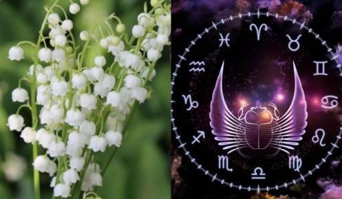 ����� � �������� �����: ��� ��� ����� ���������� � ���?