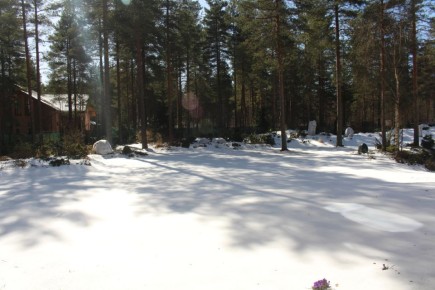 �������� � �����: ���������� ������� �� ������ �����