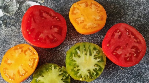 ������ �������� �����: ����, ������� �� �������