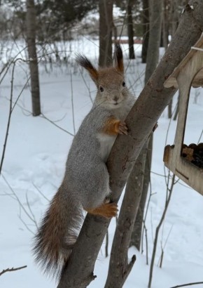 ���� � ������� 0��. ����� �������� 5 �/�