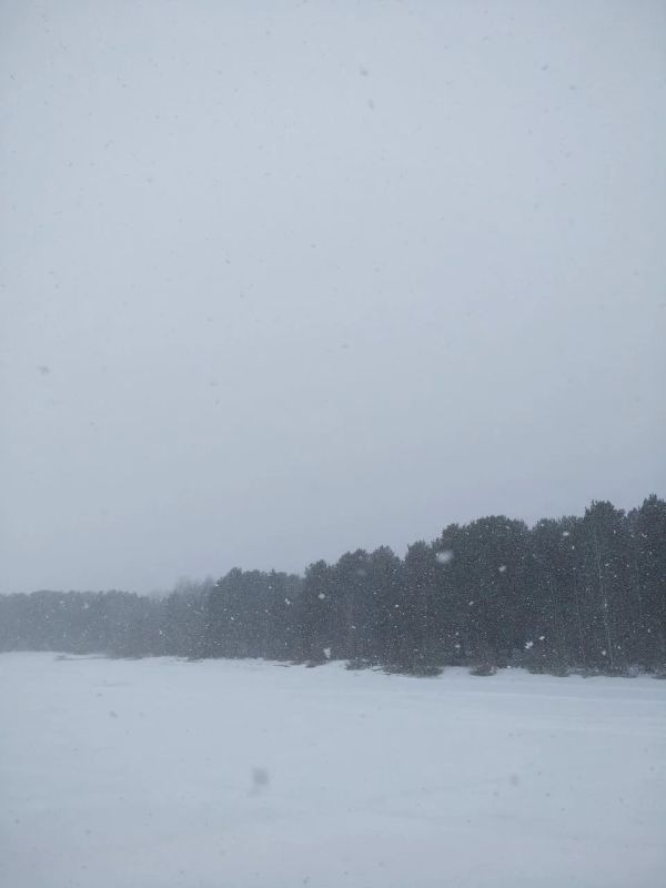 ��� �������, ��������� �������� � ���� ����? /