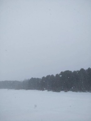 ��� �������, ��������� �������� � ���� ����? /