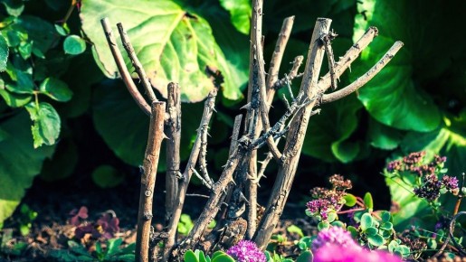 ��� ���������� ������� ��������� �������� ����� �������� �������� ����