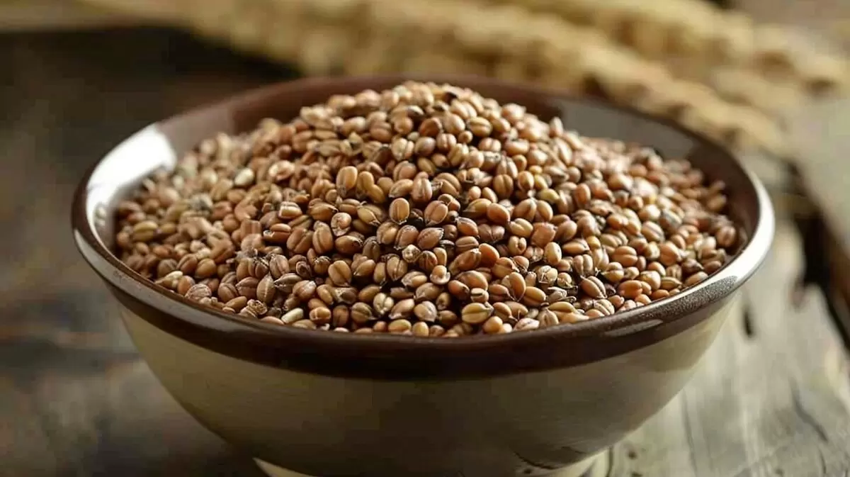 Перловая каша: полезное в каждой ложке