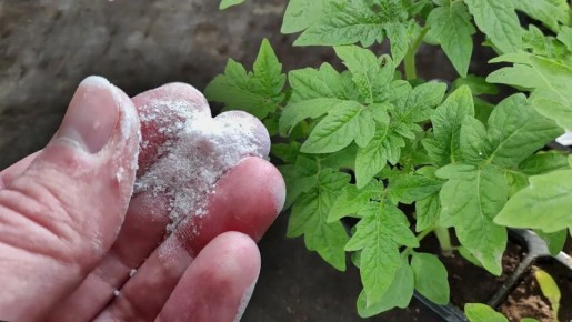 ��� ����� ����� ����������� ������� ������� �� ��������� ����