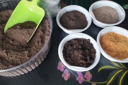 Минеральные удобрения для рассады перца: что важно знать