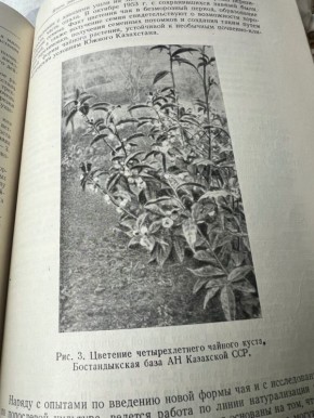 ������ ����������� � ����������: ����������� ���������� � �����������