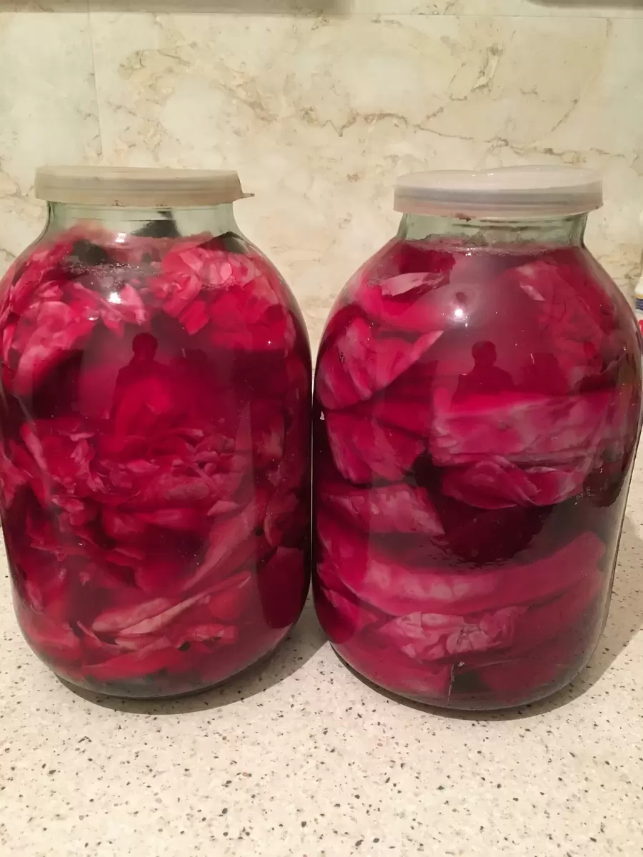 Как приготовить маринованную капусту со свеклой на зиму