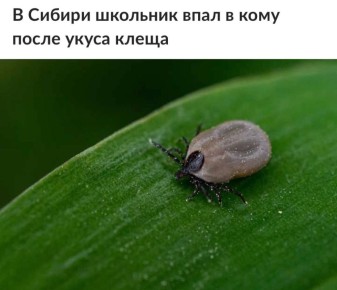 � ������ �������� � ���� ������ ������� ����� ������ ������