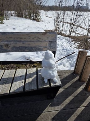 � ������ ��������� ���������� ������������ ������� ��������