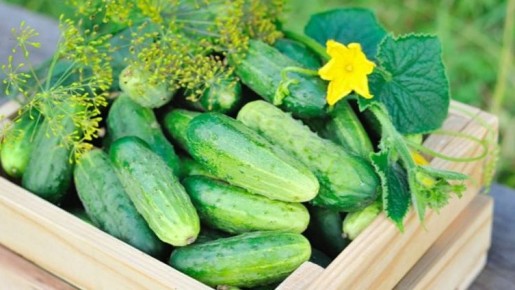 ����� ��������� ����������� �������: ��� �������� ������� ������ ���� � ������ ������