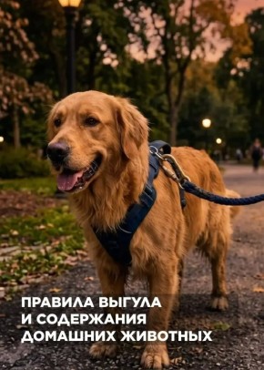 ������� ����� ��� ���������: ���������� ���������� ������ ������� ���������� �������� ��������