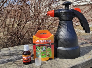 ��� �������� ��� �� ����������: ����-�������� '������' � ����� ��������