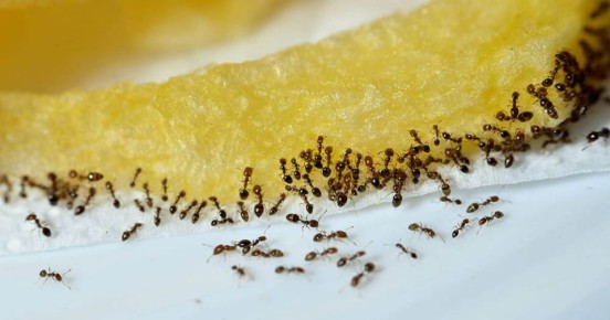 ��� �������� ������ � ������ � ���������: 7 ���������������� ������