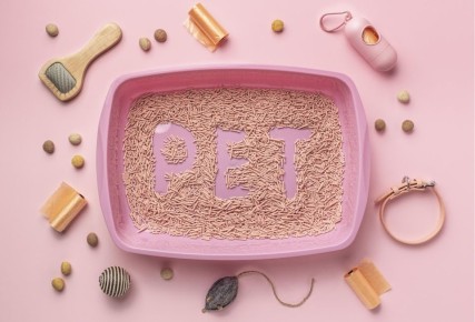 ������ ��������� �����: ������, � ������� �� �� ������������