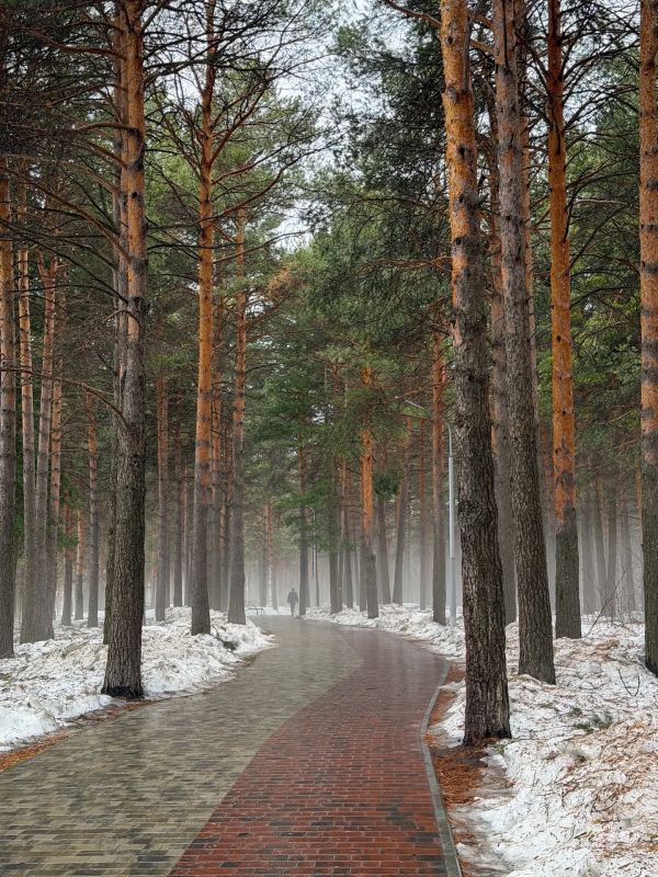 ������� ������������, ���������!