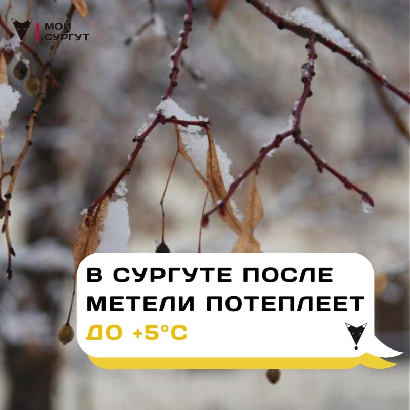 � ������� ����� ������ ��������� �� +5�C