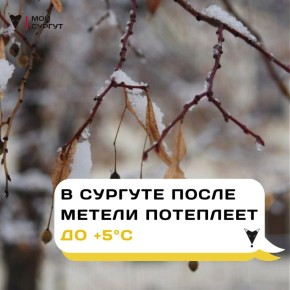 � ������� ����� ������ ��������� �� +5�C