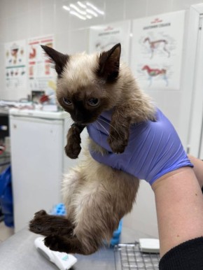 � ������� �������� �������� ������ 14 �����, ���������� ��� �������