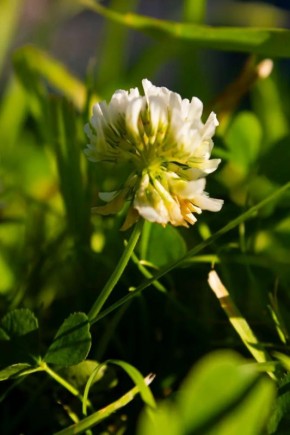 ��� �����? ������� ������� ����������� ����