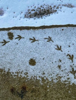 ���� � ������� +1��. ����� ���-��������� 9 �/�