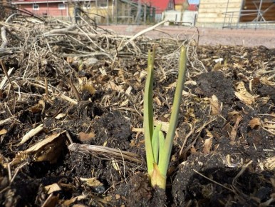 ������ ������ ������ ������ ����: �������� ������� � ������ �� �����