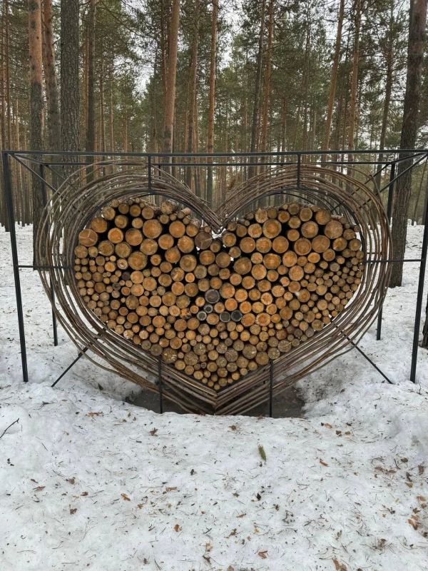 ���� � ������� +6��. ����� ����� 3 �/�