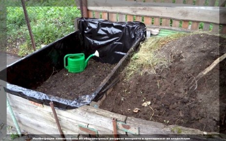 ��� ������ �������� ��������� �������: ������ �� ������� ��������