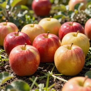 ������ ������ ����� �� ������: 10 ������, � ������� ����� �����