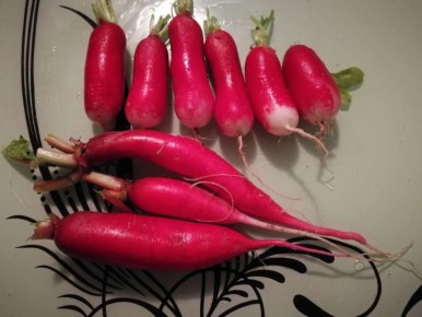 ������ ���� ������� ���������� ������������: ����� ������� ������